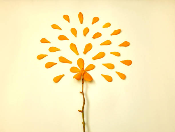 istock Yellow orchid flower on bright yellow background. 1207183127