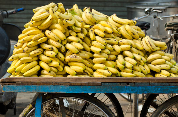istock fresh ripe bananas on street mobile stall, India 1207191163