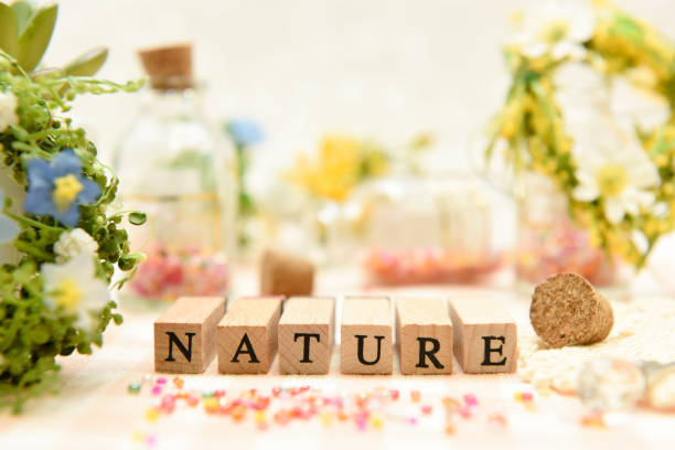 istock alphabet letter word text stamp 1207193056