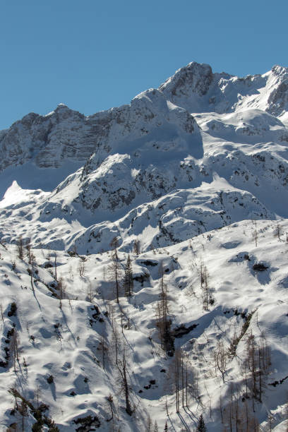 istock snow capped mountain top with larch trees 1207193213