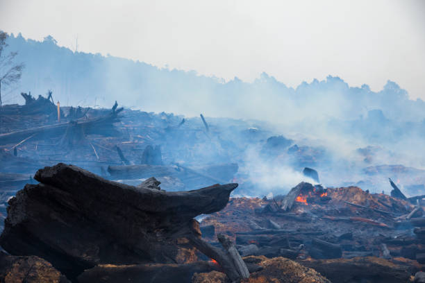 istock Bushfire smouldering in Australian Outback 1207193295