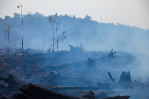 istock Bushfire smouldering in Australian Outback 1207193299
