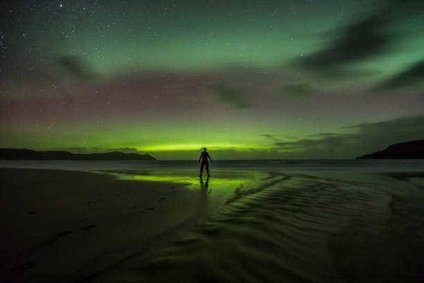 southern aurora australis in tasmania - australis imagens e fotografias de stock