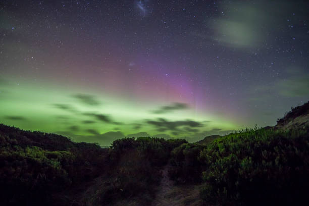 southern aurora australis na tasmanii - australis zdjęcia i obrazy z banku zdjęć
