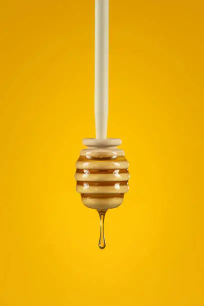 Raw honey dripping from a wooden honey dripper