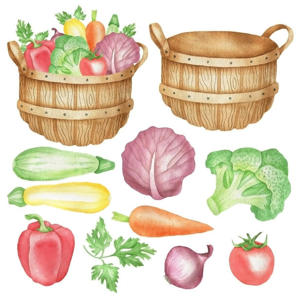 buszel i warzywa.jpg - bushel broccoli freshness basket stock illustrations