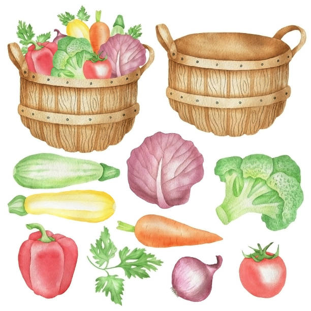 ilustrações, clipart, desenhos animados e ícones de bushel e legumes.jpg - tomato basket farm bushel