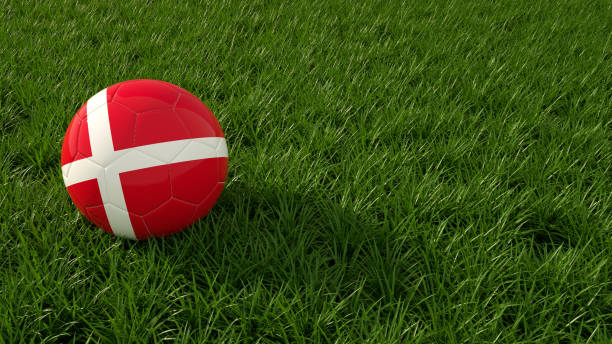 istock Denmark, Danish Soccer Ball on a grass field 1207196645