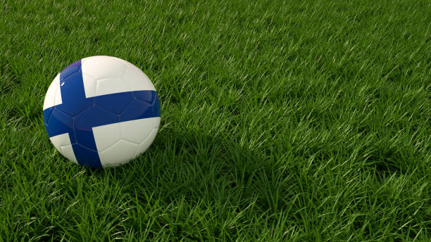 istock Finland Soccer Ball on a grass field 1207196700