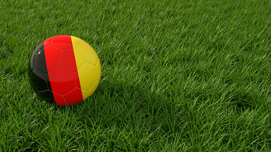 3d rendering of soccer ball with national flag on a grass field.