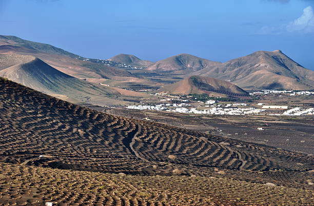 Panoramic view of vineyards in the La Geria wine growing region, Canary Islands.