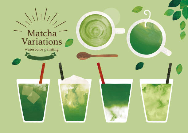 Green tea variation watercolor Green tea variation watercolor beverage cup stock illustrations