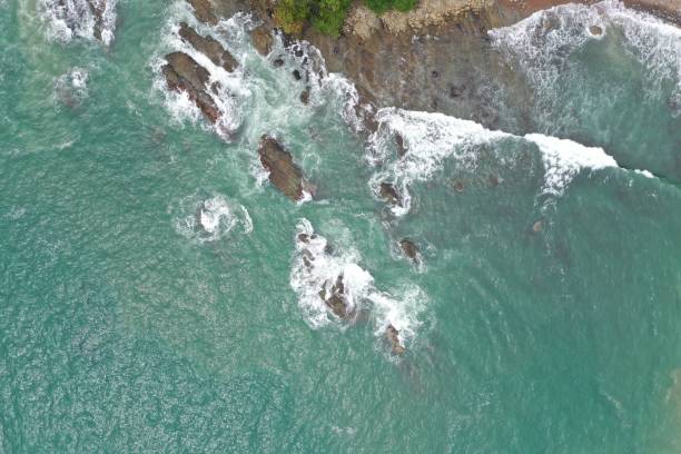 istock Surf in Costa Rica 1207202274