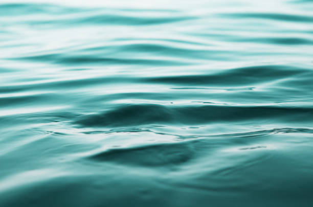 istock Ocean water background. Nature background concept. - Image 1207205096