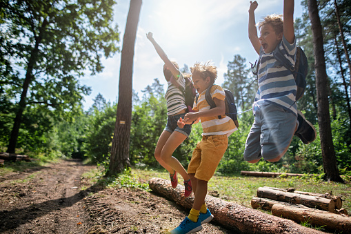 Happy kids hiking in a forest. Children are playing on a tree trunks, balancing and jumping on them.\nBoys are aged 10 the girl is 13.\nNikon D850