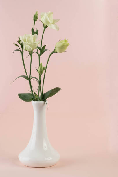 istock bunch of white eustoma flowers in glass vase 1207207695