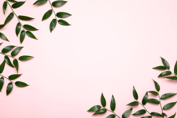 Photo of Mother earth day on pink background with green leaves. Flat lay. Concept green world earth day.