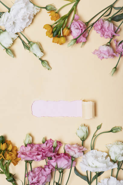 istock Flower flat lay for decorative design on beige background. Minimal romantic hipster concept, mockup background. 1207208091