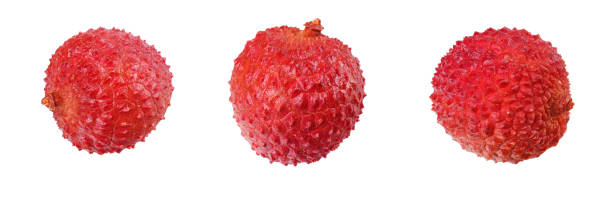 lychee collection. fresh lychee isolated on white background