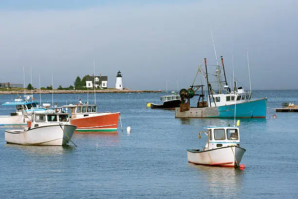 Photo of Northern Maine