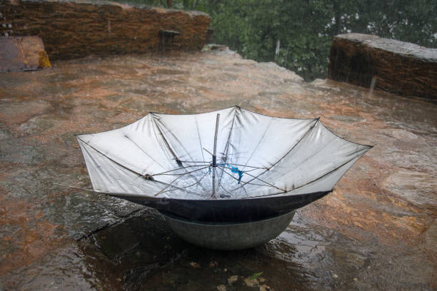 Upside down umbrella in rainfall collecting rain water, World Water Day. save water concept