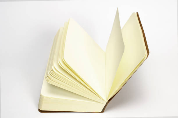 istock Blank opened notebook with cardboard hardcover  isolated on white as template for presentation, showcase design logo, embossing etc. 1207212186