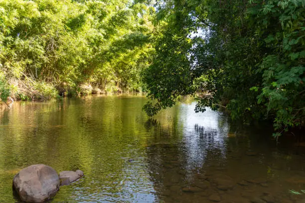 Photo of rural and natural landscape where a stream appears and the cilir forest around it