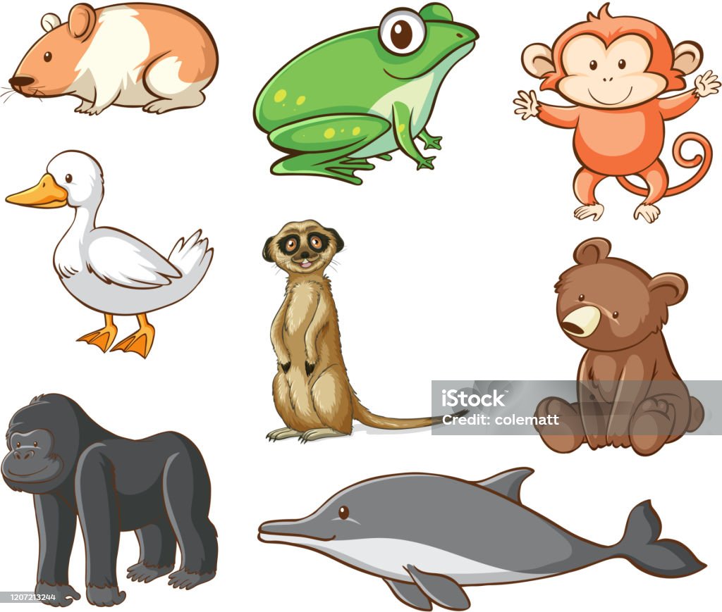 Large Set Of Wildlife With Many Types Of Land And Water Animals Stock  Illustration - Download Image Now - iStock