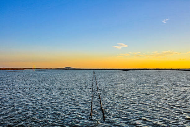 the French Mediterranean coast on wild Camargue