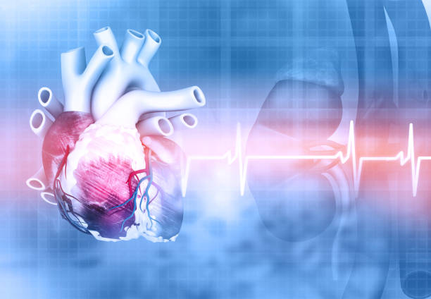 istock Medical background with human heart 1207222670