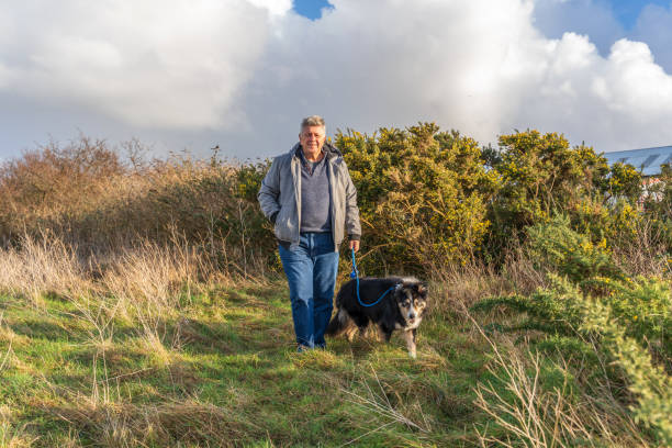 istock Man walking on grassland with border collie 1207223797