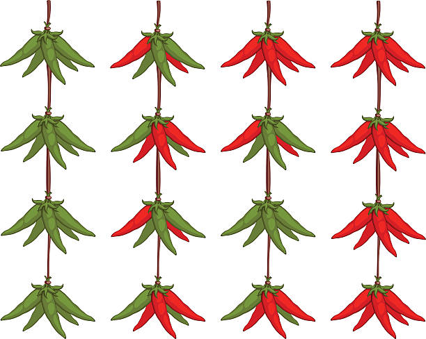 Peppers hanging on a rope Peppers hanging on a rope. Over white. EPS 8, AI, JPEG serrano chili pepper stock illustrations
