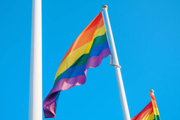 istock Low Angle View Of Rainbow Flags Against Clear Sky 1207224770