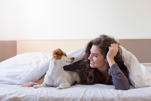 beautiful young woman lying on bed under the white cover with her cute small dog. Home, indoors and lifestyle