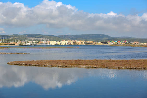istock the French Camargue 1207227865