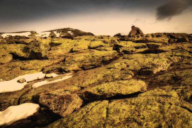 istock Small refuge in high mountains 1207228590