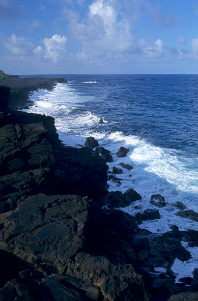 istock Wild south coast, La Reunion Island 120722926