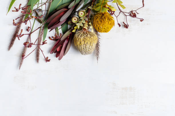 Elegant modern flat lay of mostly Australian native flowers.