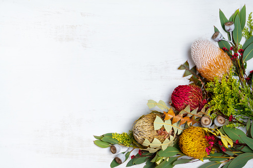 Flat lay flower arrangement with dried Banksia, Eucalyptus leaves and gum nuts.