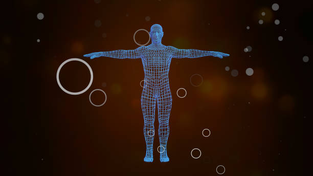 3D Avatar showing holographic projection of man body rotating over particles background. High technology background. 3D Avatar showing holographic projection of man body rotating over particles background. wire frame model photos stock pictures, royalty-free photos & images