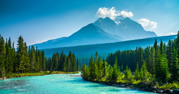 istock Banff National Park in Canada - Bow River 1207232536
