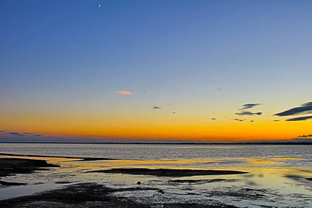istock the French Camargue 1207232728
