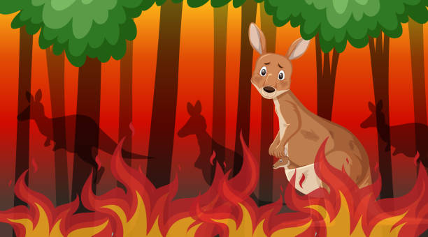 istock Scene with big wildfire with animal trapped in the forest 1207232951