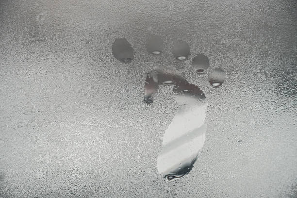 Paint stains on dirty windows