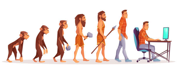 menschliche evolution vom affen zum menschen computer-benutzer - evolution stock-grafiken, -clipart, -cartoons und -symbole