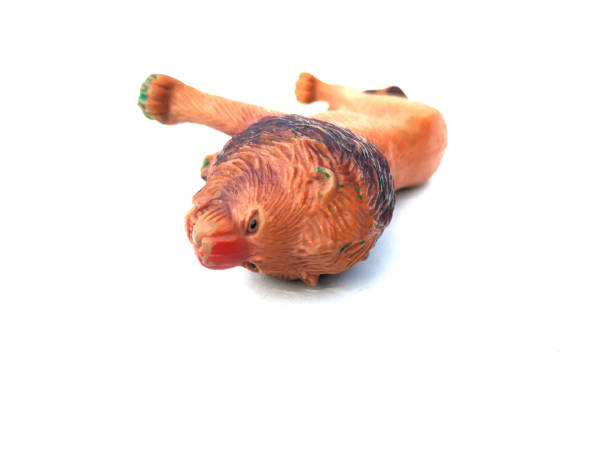 istock children plastic toy animal 1207234800