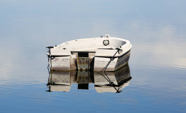 istock the French Camargue 1207234801