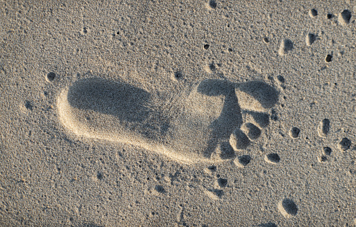 The imprint of a child's right foot in the sand. Close-up of a child's footprint.