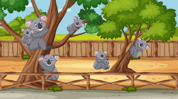 Scene with wild animals in the zoo at day time Scene with wild animals in the zoo at day time illustration koala tree stock illustrations