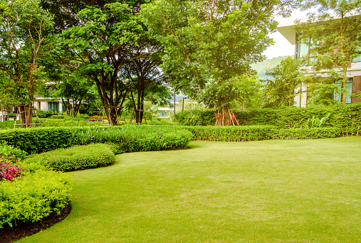 Casa en el parque, césped verde, patio delantero es jardín bellamente diseñado photo